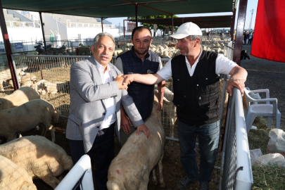 Kayseri Talas'ta kurban satış yeri belirlendi