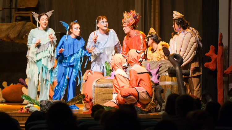 Kocaeli’de minik kalpler, Körfez’in dipten dirilişine tanık oldu