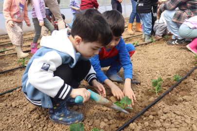 İzmitli çocuklar ilk fidelerini çocuk serasında ekti