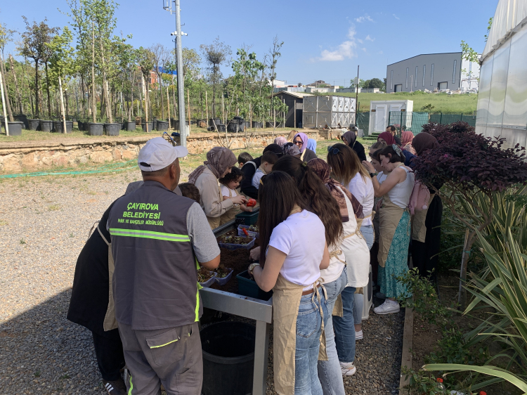 Çayırova’da çilek ekimleri gerçekleştirildi