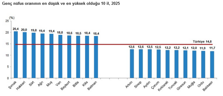Türkiye’de genç nüfusun payı yüzde 14,8… Yapay zeka kullanımı yüzde 39,4’e çıktı