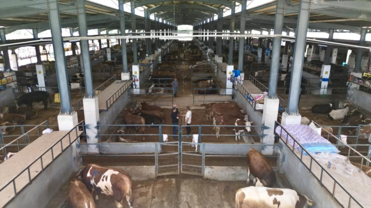 Bursa İnegöl’de kurban pazarı doldu taştı