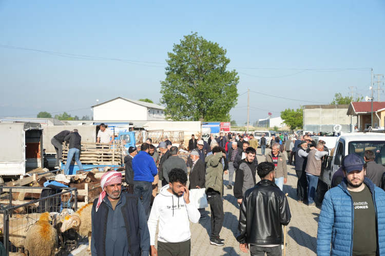 Bursa Yenişehir’de kurban satış yeri ve mezbaha modernize edildi