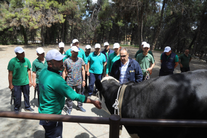 Gaziantep'te yakalama timi göreve hazır... Drone destekli yakalama timi