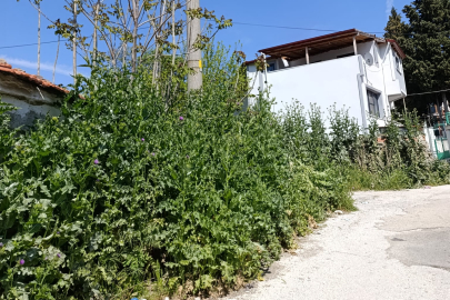 Keşan’daki Su Parkı’nda Bakımsızlık Tepkisi: “Kendi Tesislerinde Bile Ot Biçilmiyor”