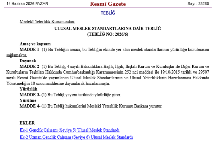 İki yeni Ulusal Meslek Standardı yürürlüğe girdi… Gençlik çalışanlığına resmî statü