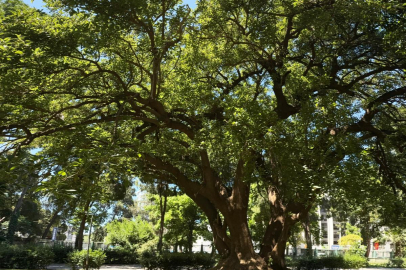 İzmir'de Kültürpark’ın köklerine yolculuk