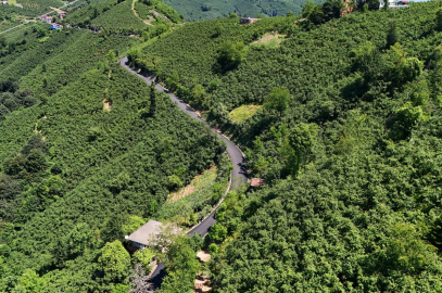 Ordu'da 3,5 kilometrelik asfalt tamamlandı