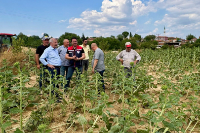 Edirne Keşan’da fırtına sonrası hasar tespiti başladı