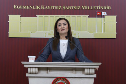 CHP Grup Başkanvekili Kılıç’tan 'silahsızlanma' vurgusu