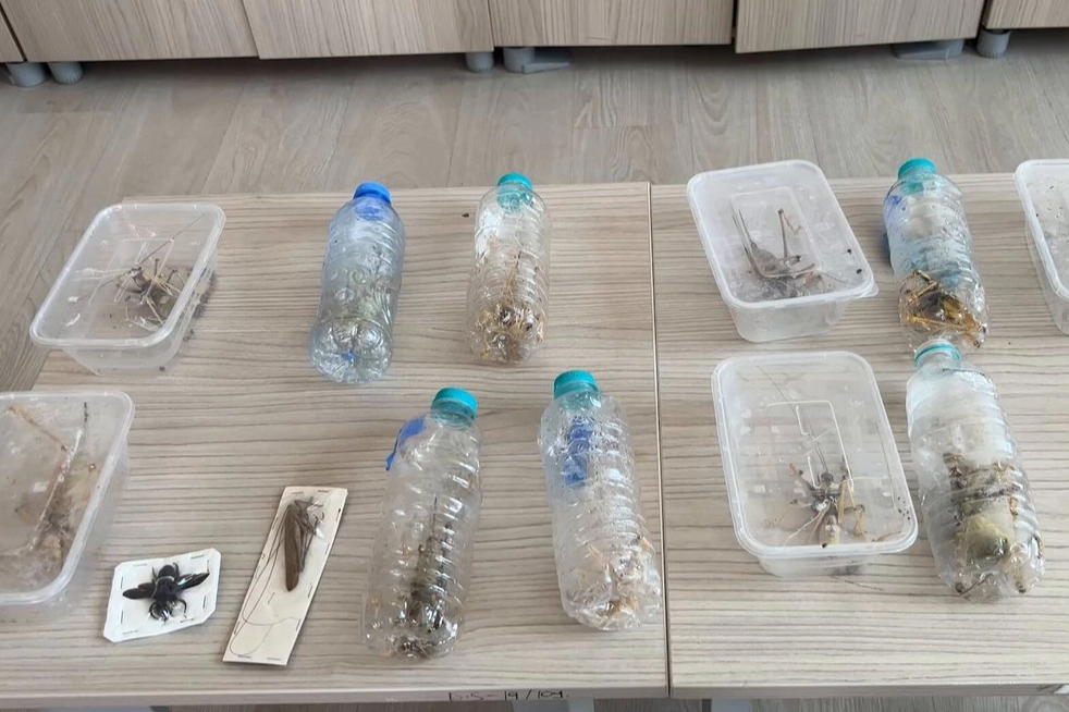 Nemrut’ta biyokaçakçılık operasyonu! 2 kişiye 1,4 milyon TL ceza