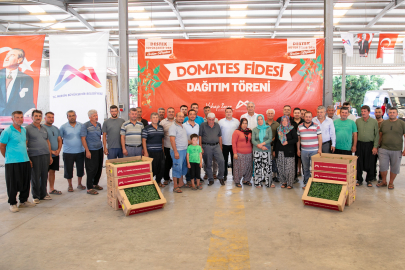 Mersin’de üreticiye domates fidesi desteği