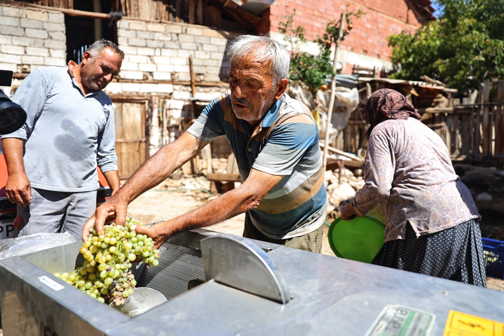 Antalya'da üzüm üreticilerine makine desteği
