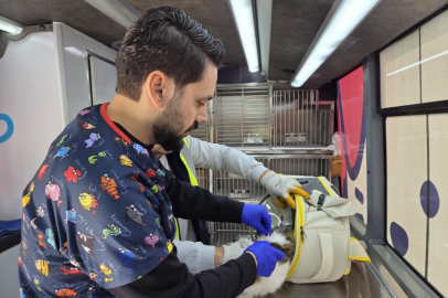 Balıkesir’de can dost aracı yollarda