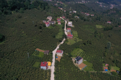 Ordu Aybastı’da ulaşım konforu artıyor
