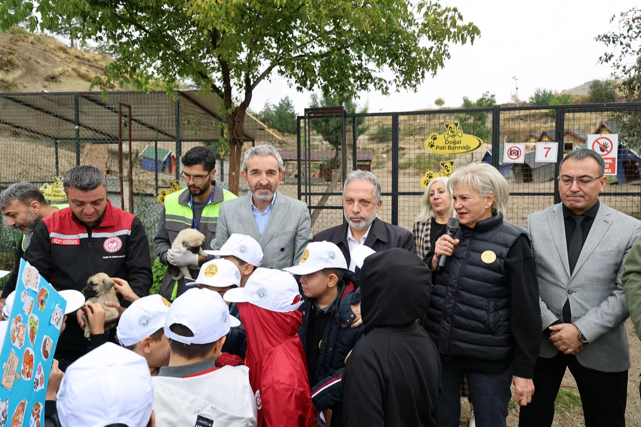 Kayseri Talas'ta can dostların özel günü
