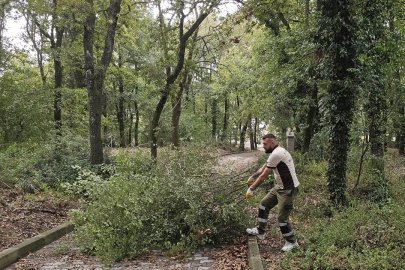 Kocaeli Gebze’deki mezarlıklarda yoğun mesai
