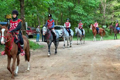 Gebze’de Cumhuriyet coşkusu atlı dayanıklılıkla buluşuyor