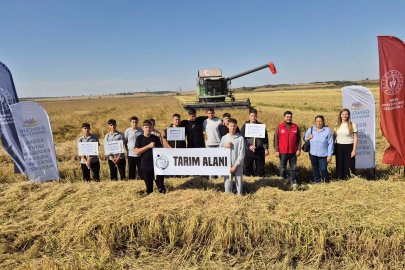 Edirne Keşan'da gençlerle çeltik hasadı deneyimi