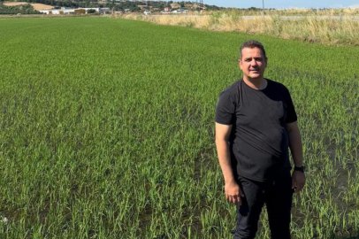 İpsala Çeltik Üreticileri Birliği'nden tepki