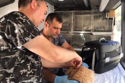 Balıkesir'de can dost aracı Savaştepe’den yola çıkıyor