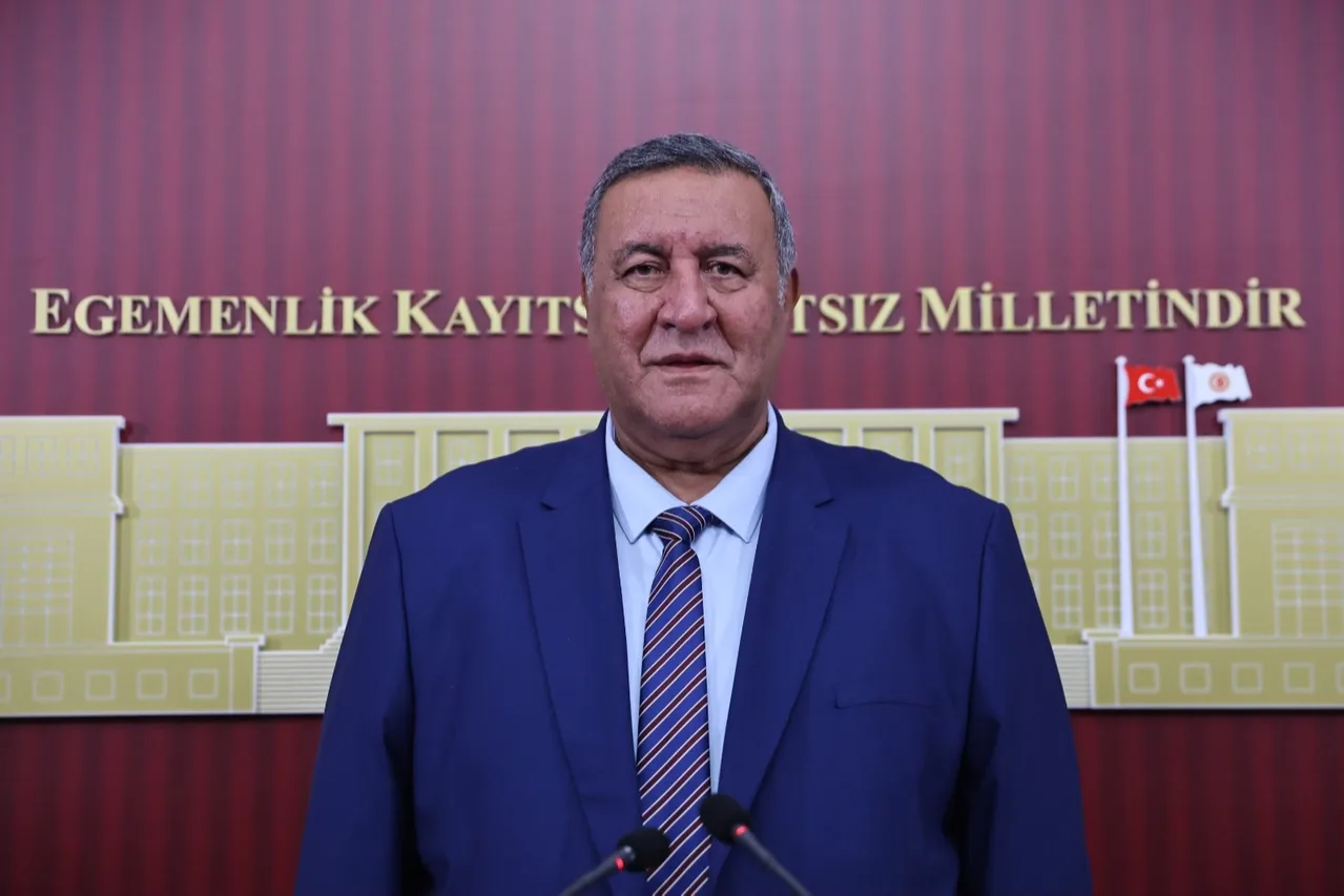 Ömer Fethi Gürer'den bütçe değerlendirmesi