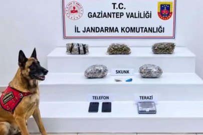 32 ilde yüzlerce kilo uyuşturucu ele geçirildi