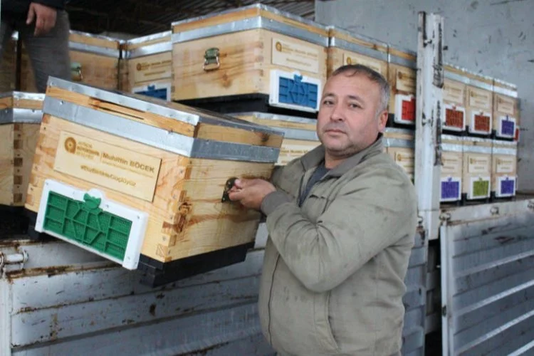 Antalya Kemer’de arı üreticilerine kovan desteği
