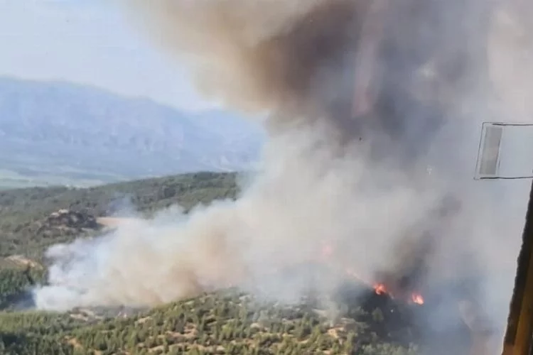 Aydın Nazilli'de orman yangını sürüyor