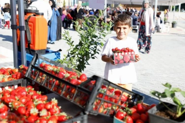 Bursa İnegöl'de 'Kırmızı Elmas’ın ünü sınırları aştı