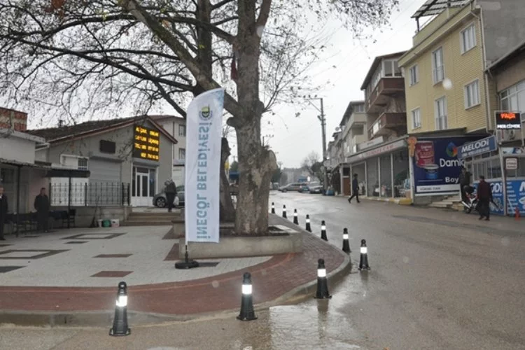 Bursa İnegöl'e Akhisar’da sokak hayvanlarına yardım eli çağrısı