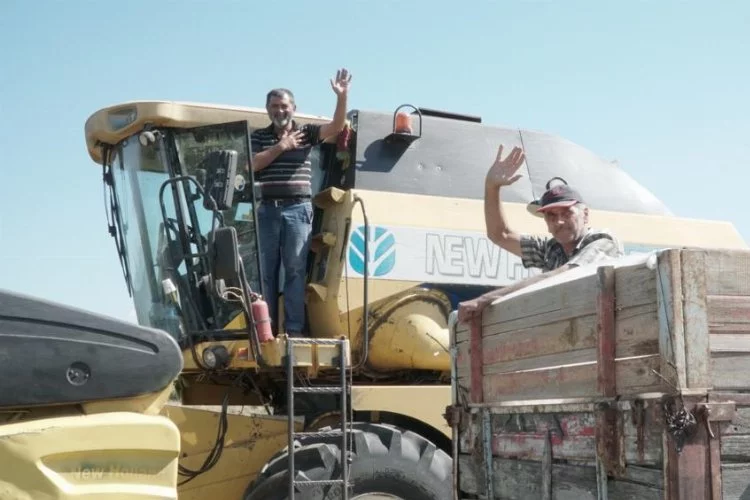 Bursa Mustafakemalpaşa'da 'buğday hasadı' başladı
