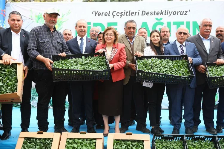 Gaziantep Büyükşehirden tarımsal üretime 2 milyon fide desteği 