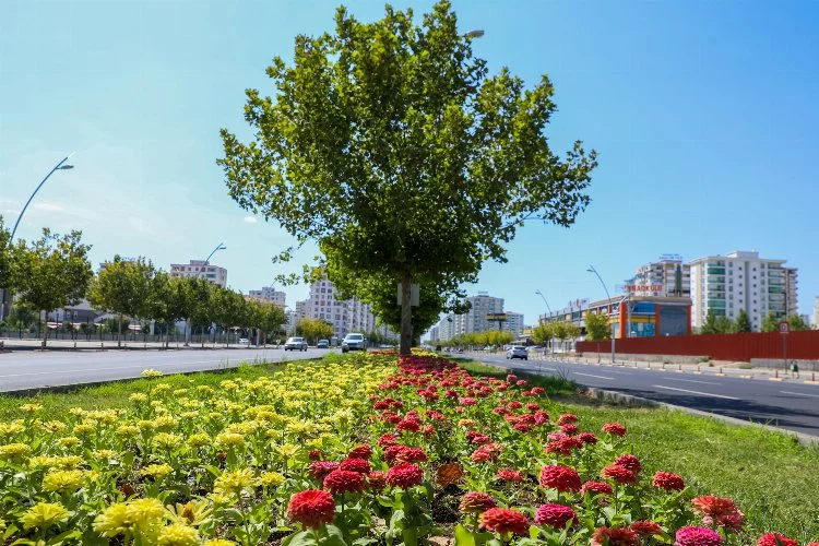 Diyarbakır'da Fırat Bulvarı çiçeklendi
