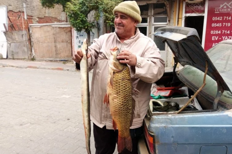 Edirne'de barajdan yakalanan canlı balıklar ilgi görüyor