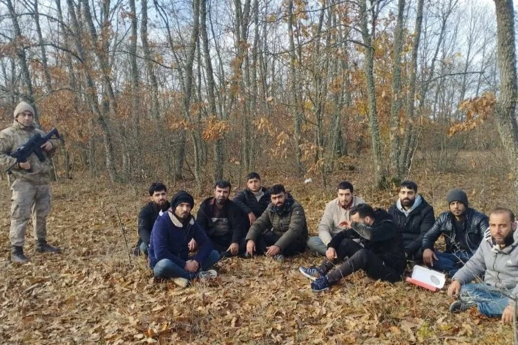 Edirne Jandarması, 1 haftada 262 kaçak göçmen yakaladı
