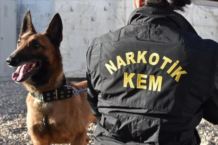 Hakkari'de dedektör köpekler polisin büyük destekçisi