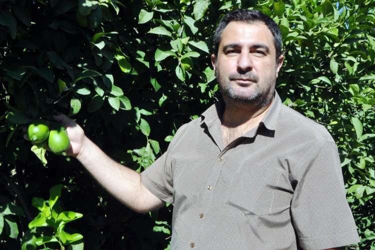CHP’li Tezcan: “Üretici tüccarın insafına bırakıldı”