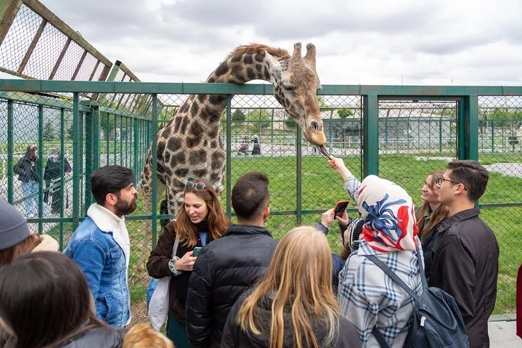 İsviçreli öğrencilerden Kayseri Hayvanat Bahçesi gezisi