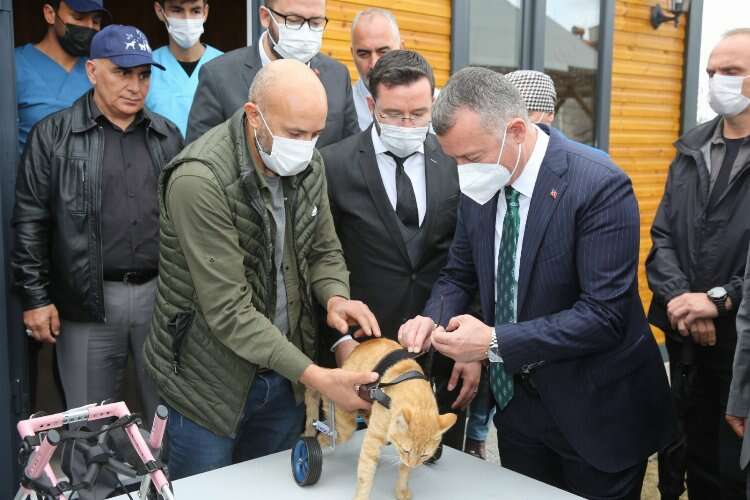Kocaeli Büyükşehir ve 11 ilçe belediyesi sokak hayvanları için protokol imzaladı