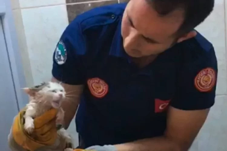 Kayseri itfaiyesi minik kediyi kurtardı