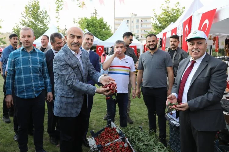 Mardin'de 16. Kiraz Festivali başladı
