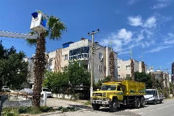 Milas'ta elektrik kesintisi fırsata çevrildi