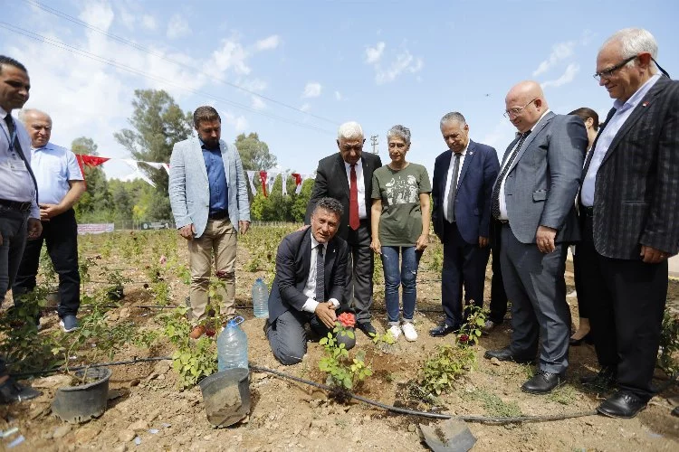 Muğla'da 'tıbbi bitkiler' bahçesi hizmete açıldı