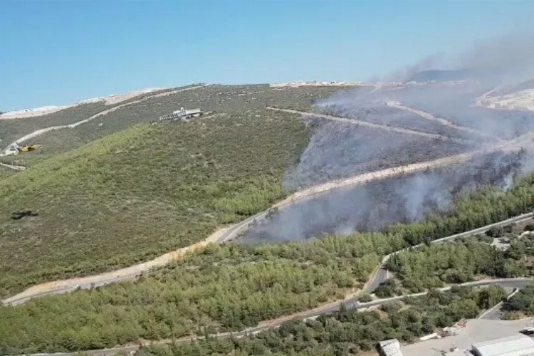 Muğla Milas'taki orman yangınına müdahale sürüyor