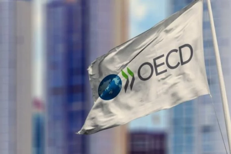 OECD'den Türkiye için ekonomik revize