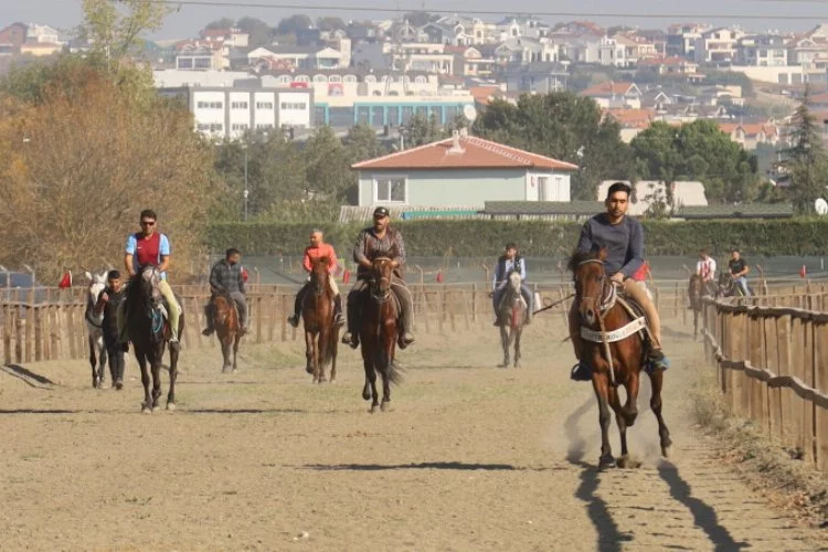 Rahvan atları Bursa'da şampiyonluğa koştu