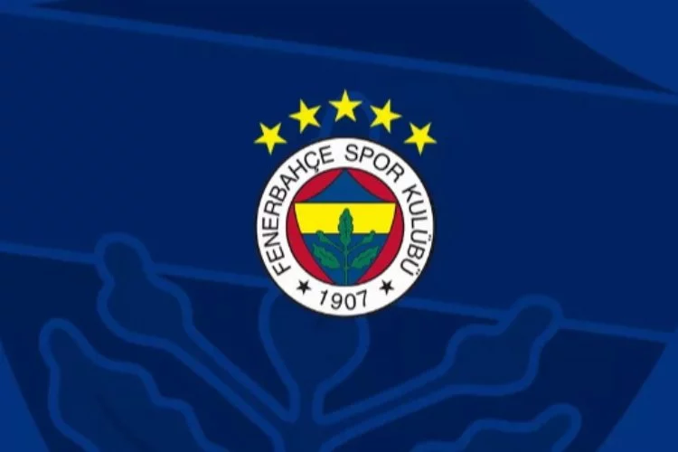 UEFA Fenerbahçe'ye faturayı kesti