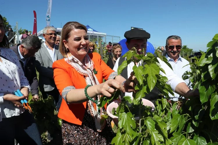 Kocaeli İzmit Belediyesi  İpek Böceği Besleme Evi’ni hizmete açtı