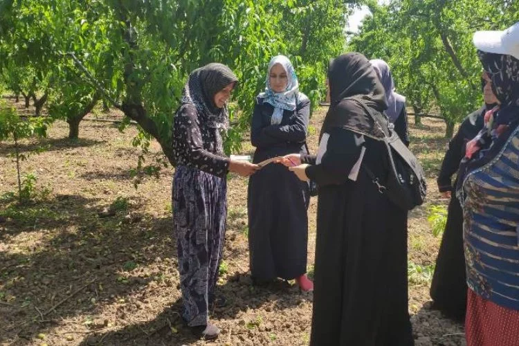 Bursa İznik'te Saadetli kadınlar çiftçileri ziyaret etti 